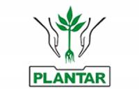 PLANTAR